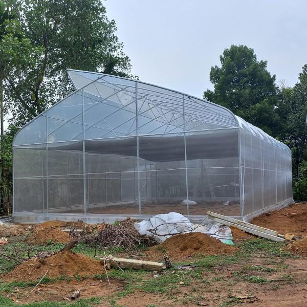 Da estufa plástica agrícola de Agri da estufa do Sawtooth único período de cultivo urbano