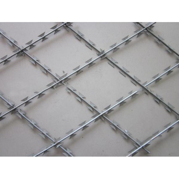 Сваренная БТО-22 ячеистая сеть бритвы, лента плоской бритвы обруча колючая не взбираясь