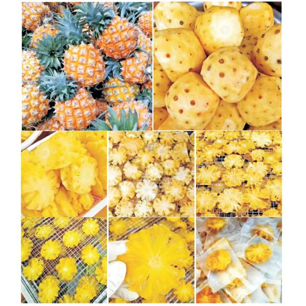 Low-Temperature Dehumidifying for Fruit Drying Machines 