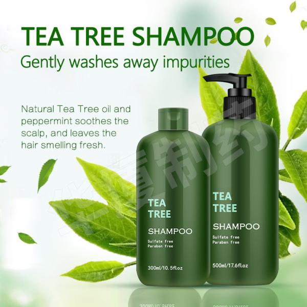 Tea Tree Aloe Vera Ginger Anti Hair Loss Shampoo Herbal Shea Butter Shampoo