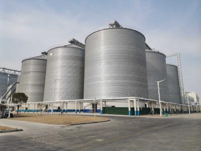 Vertical Design Steel Grain Silo for Moisture Prevention and Space Efficiency Stainless Steel