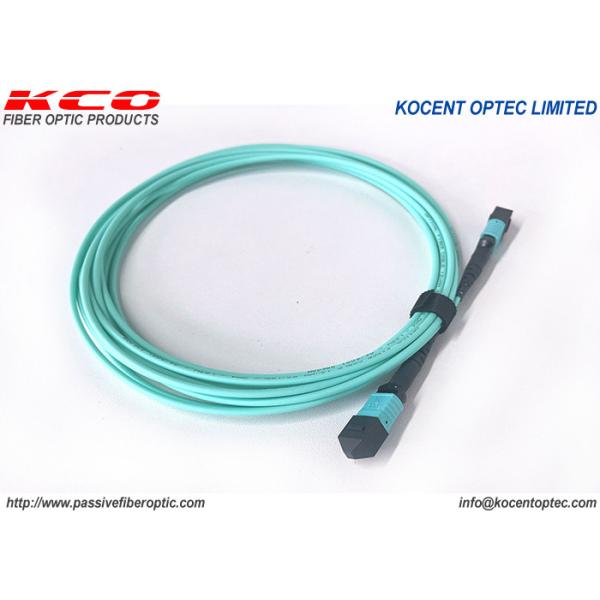 MPO MTP Trunk Fiber Patch Cable Elite Low Loss 8fo OM3 OM4 APC