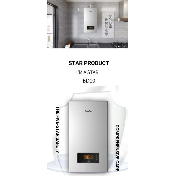 95% Efficiency Wall Mounted Condensing Gas Boiler for Heating and Hot Water Since 2005