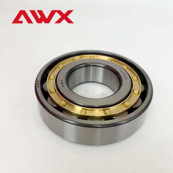 222.25mm OD Capacity Plastic Caged / Em Cylindrical Roller Bearing