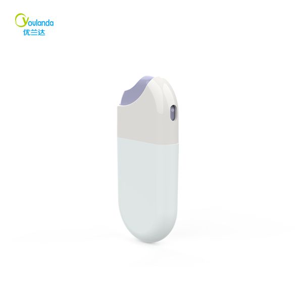 30ml Capacity PP Material Pocket Size Fine Mist Sprayer Travel Spray Bottle for Perfume and Cosmetic