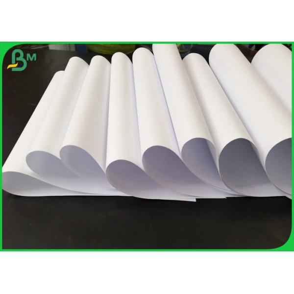 60gsm 70gsm 80gsm Offset Printing Paper / White Bond Paper Roll Grade AA