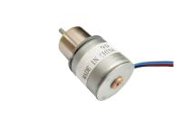 High Precision 20mm 12v DC Micro Gear Stepper Motor 2 Phase 4 Wire