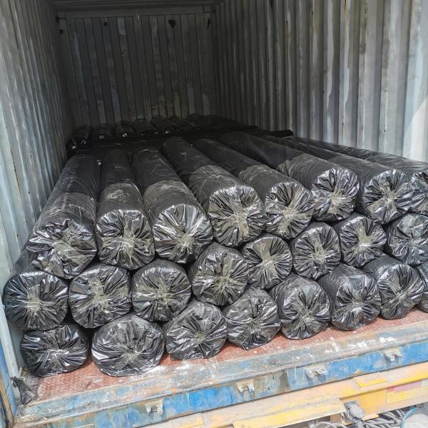 Chinese Design Style High Tensile Strength Fiberglass Geogrid for Road Construction