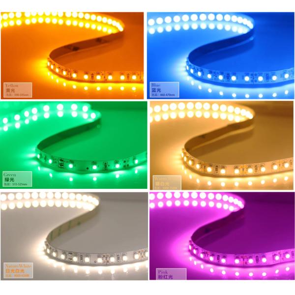 12V White RGB LED Strip Lights Cuttable Waterproof Swimming Pool Strip