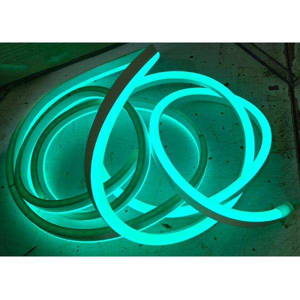 Множественная веревочка гибкого трубопровода куртки PVC 12VDC цвета RGB освещает штепсельную вилку 15*25mm ЕС