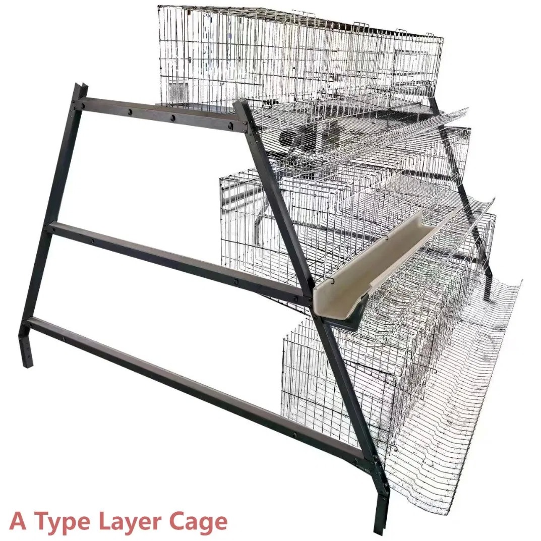 Corrosion Resistance 3-4 Tier Poultry Battery Cage A Type For Efficient Farming