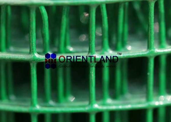 A malha de solda dos Ss/vinil de grande resistência do verde revestiu o fio que cerca a polegada de 1/2 pela polegada de 1/2