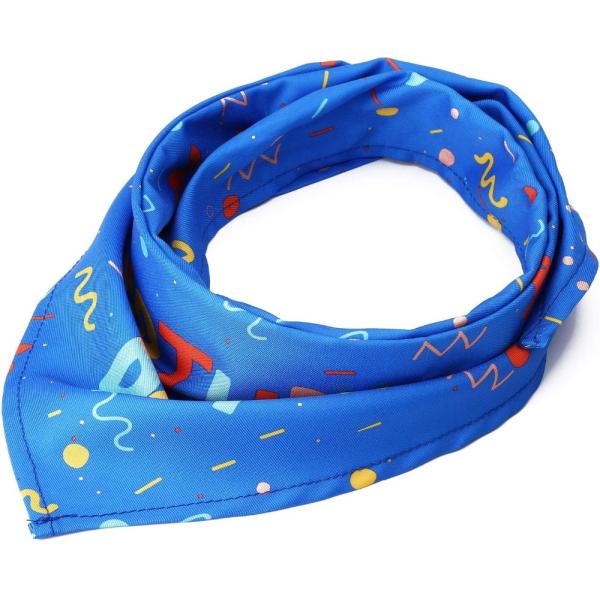 Dog Birthday Stocked Occasion Bandana Bone Chew Toy Set Pet Custom Printed Bandanas