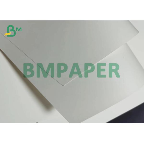 300g + 20g PE Single Side Coated Food Grade White Cup Stock Paper