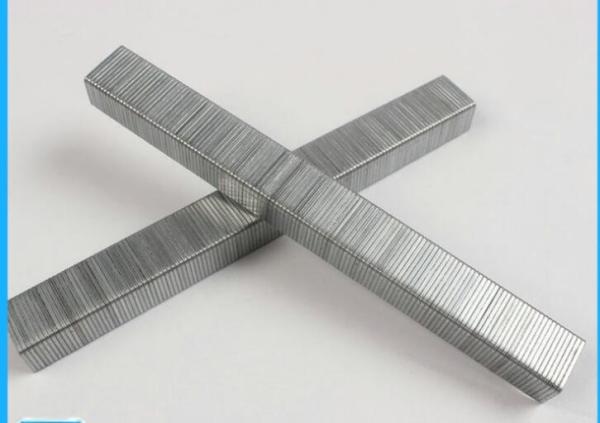 Factory Sale Standard #26/6 Office Standard Staples Silver Color,Galvanized Steel