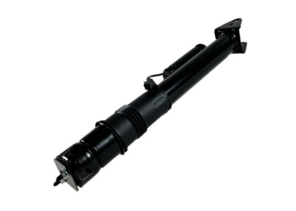 ISO W251 Mercedes Benz Air Suspension Rear Strut Replacement 2513201931