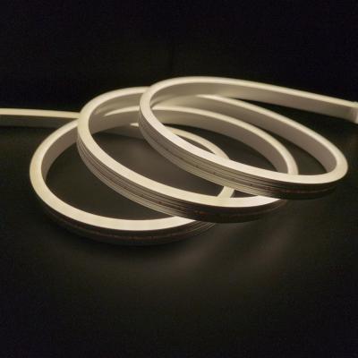 corda clara de néon DC12V RGB IP67 impermeável do diodo emissor de luz do silicone de 6mm 8mm