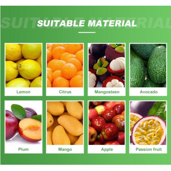 1t/H-5t/H Fruit Washing Equipment Fruit Washing Line For Fruit Export Sales