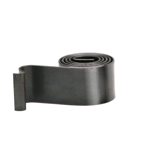 Customized JIS Standard SUS316 Spiral Torsion Spring