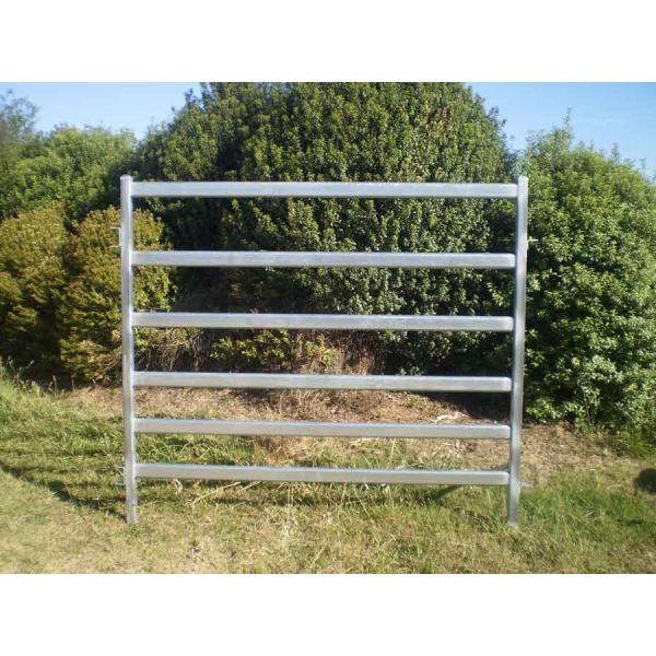 1800mm x 2100mm cattle panels oval pipes 30mm x 60mm ,40mm x 80mm