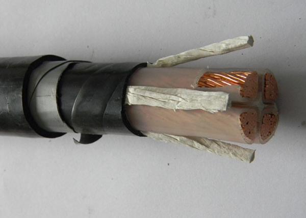 Galvanized Steel Wire 2.5 Mm 2 Core Armoured Cable XLPE Insulated 600V / 1000V