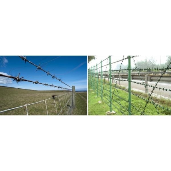 Boundary Wall Galvanized Steel Barbed Wire 12*14 Gauge
