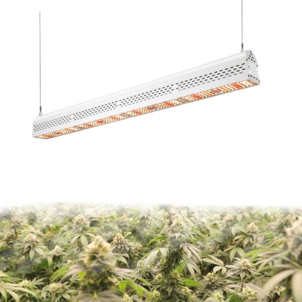ETL Certification Waterproof LED Grow Lights Aluminum Body 160° Beam Angle