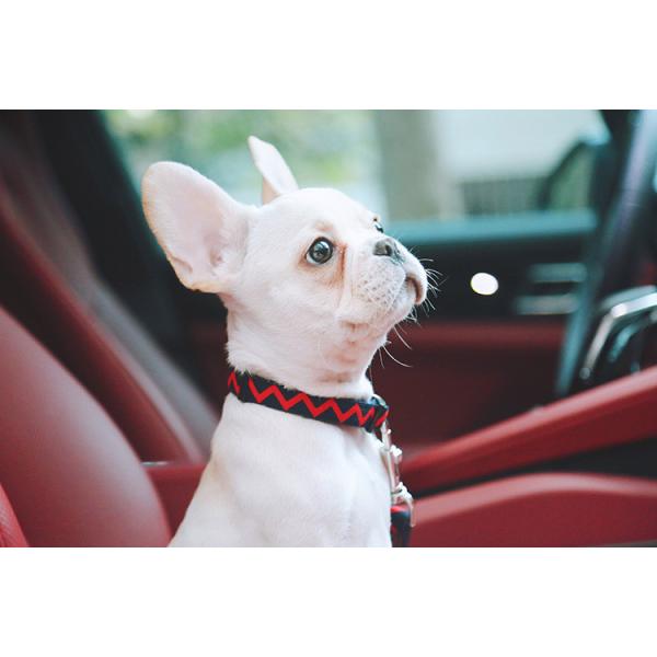 0.79 Inch Wide Thick Nylon Dog Collars Navy Blue Red Ripple Nylon Puppy Harness