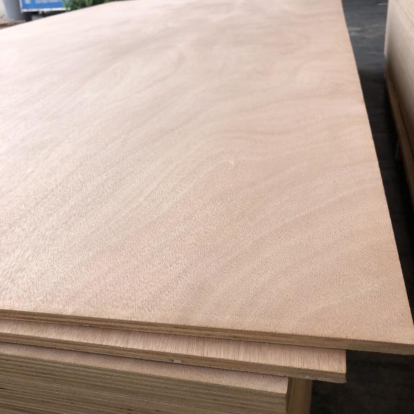 2440x1220mm Placa de madeira compensada folheada para armários móveis
