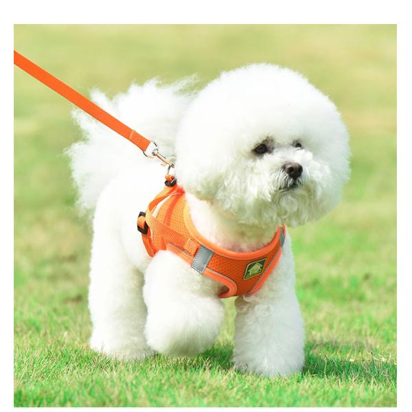 No Pull Quick Release Adjustable Dog Pet Collar Leash Vest New Arrivals