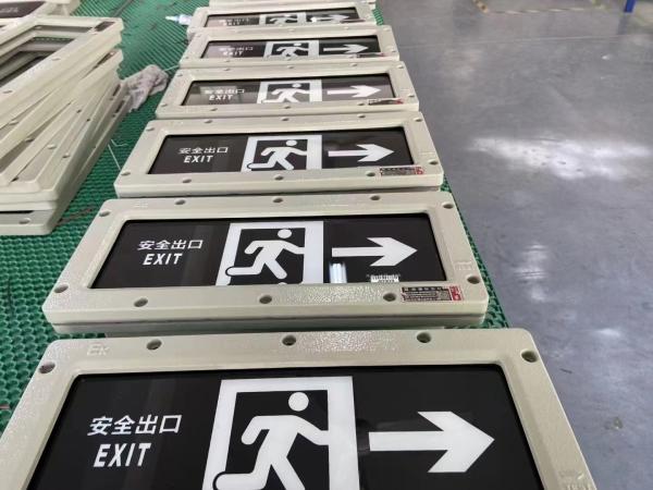 Luz de salida LED a prueba de explosiones OEM 24VCC/36VCC/CA | Iluminación de seguridad certificada para aplicaciones de Zona 1/Zona 2