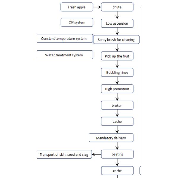 Aseptic Bag Packing Apple Puree Production Line 1 Ton Per Hour