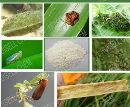 CAS  153719-23-4 Thiamethoxam 3% WG Thiamethoxam Pesticide Insecticides Granules