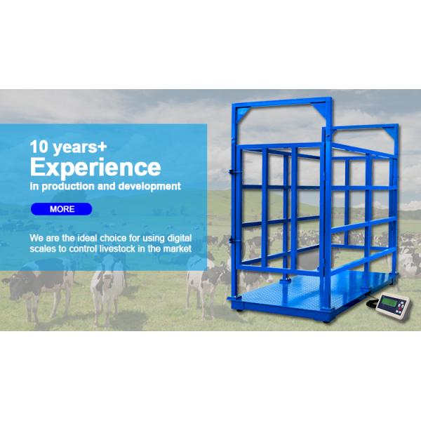Breeding Farms Textured Panel 2000kg Carbon Steel Animal Livestock Scale with 500g Accuracy and OEM ODM Supported