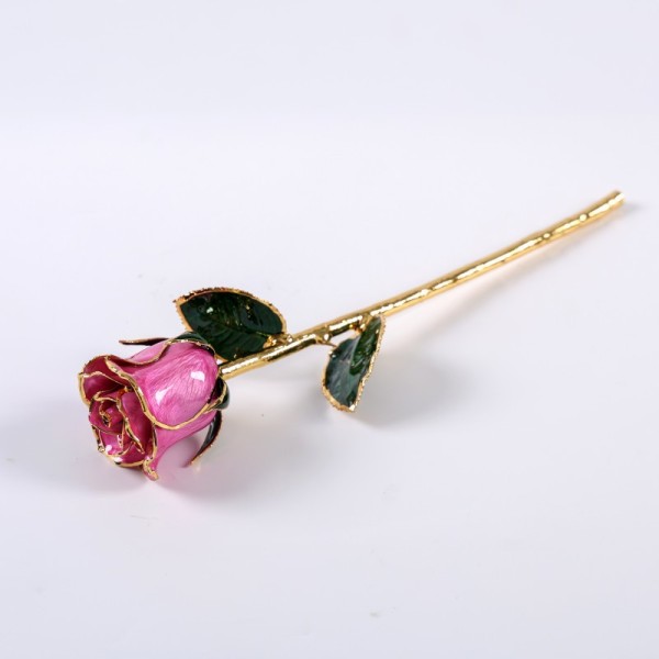 European and American 24k Gold-plated Rose Gold Natural Real Rose Valentine's Day Wedding Anniversary Proposal love Gift