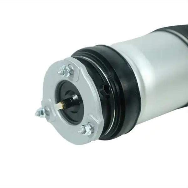 Manufacturers Direct Sale Custom Logo Shock Absorber 1027061-00-C 1027066-00-C 1027361-25-E Tesla