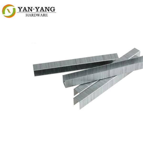 21 Gauge 80 Series Staples Galvanized Wire Staple For Furniture  8012
