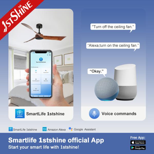 6 Speeds Remote Control Plastic Decorative Ceiling Fan Without Light