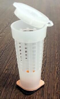 Plastic Queen Rearing Beekeeping Queen Cell Protector Common type quality& Superior one