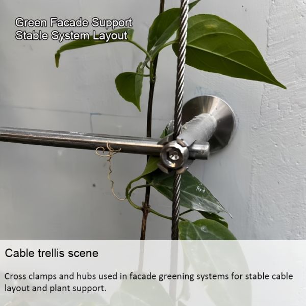 Modular Stainless Steel SS304/SS316 Plant Wire Trellis Frame With 12" Spacing