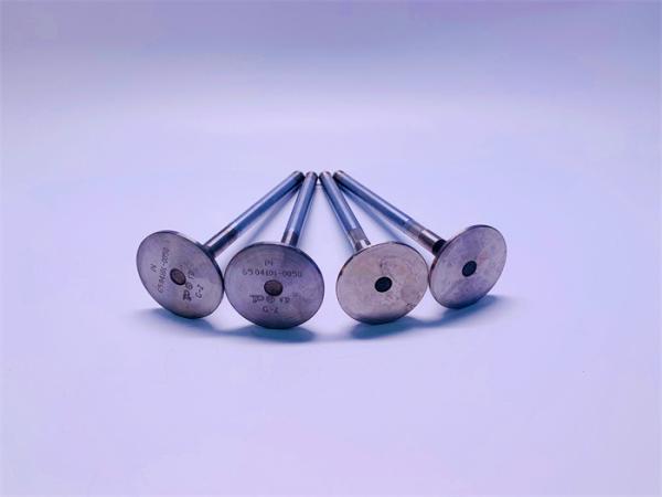 65.04101-0050 Engine Intake And Exhaust Valves , DOOSAN DE12 Engine Piston Valve
