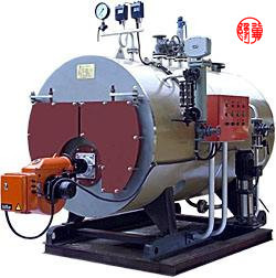 6 Ton Industrial Biomass Boiler Fire Tube Quick Charging Internal Combustion