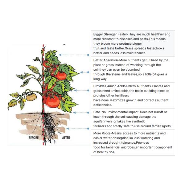 Agriculture Organic Fertilizer Compound Amino Acid Protein Powder for Animal