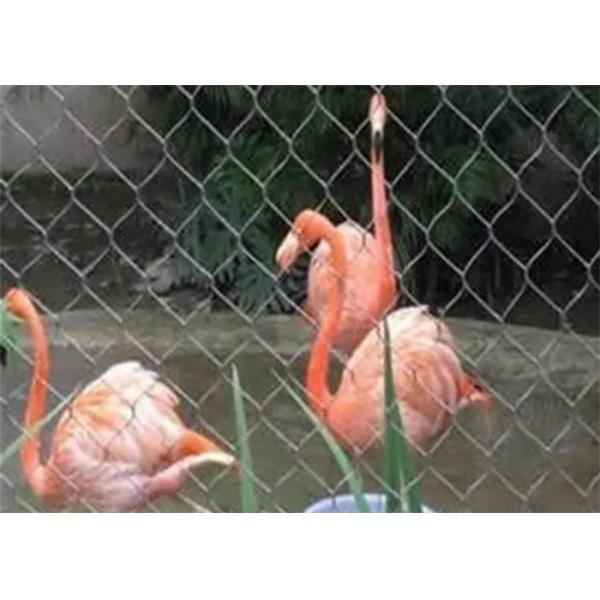 Ferruled Stainless Steel Aviary Netting , Diamond Bird Aviary Mesh Panels 2.0mm