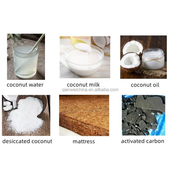 Industrial Coconut Water Processing Machine /Coconut Water Production Line /Production Line for Young Coconut