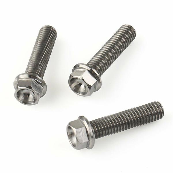 M3 M4 M6 Stainless Steel Hex Flange Metal Bolt Plain SS304 SS316 DIN6921