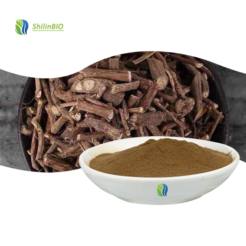 Herbal Extract High Quality Paederia Scandens Extract 10:1 20:1 Food Grade
