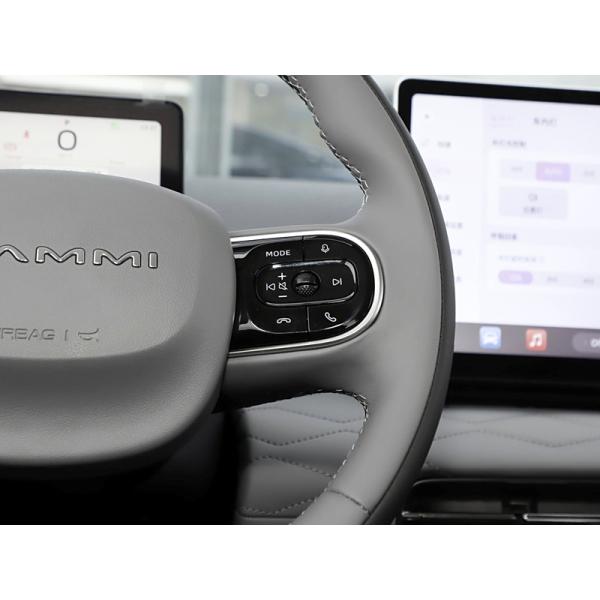 New Energy 2024 Dongfeng Nammi 01 Electric EV Cars 330Km 430Km