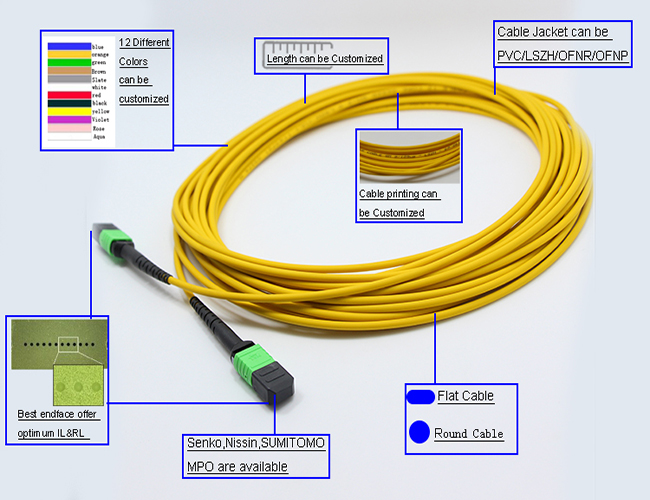 Волокно 9 кабеля 12 хобота MTP/125μm MTP к режиму OS2 LSZH MTP женскому одиночному напечатать кабель заплаты