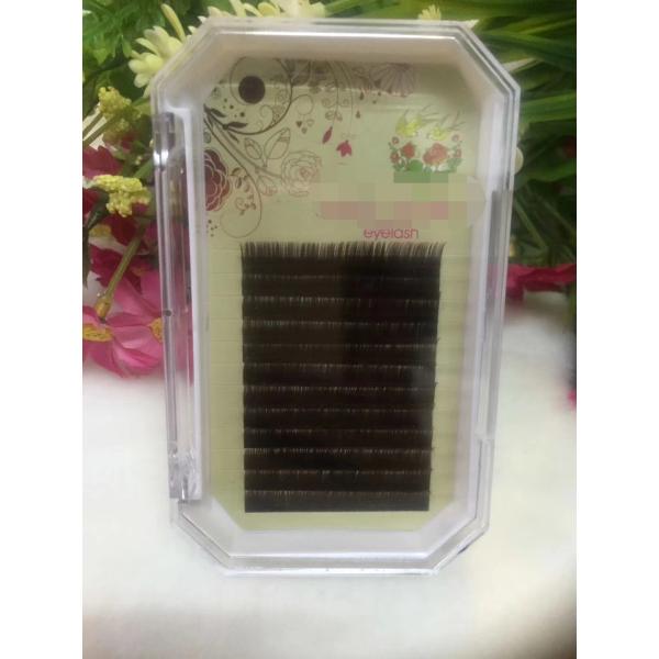Professional Mink Semi Permanent Eyelashes Korea PBT Fiber Material